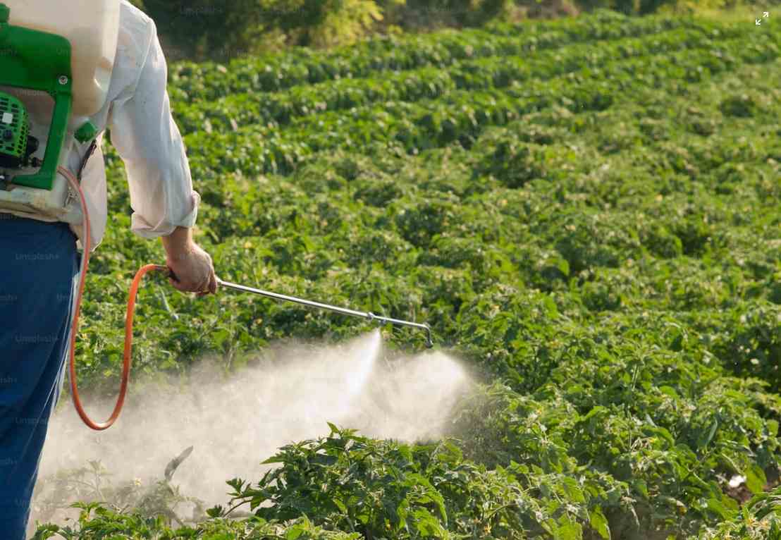 Altera&ccedil;&atilde;o da valihttps://www.ccdrc.pt/pt/90599-2/dade da habilita&ccedil;&atilde;o de aplicador de produtos fitofarmac&ecirc;uticos  